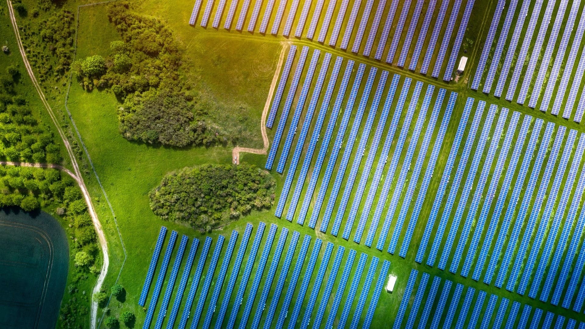 Aerial view of solar panels on the green ground